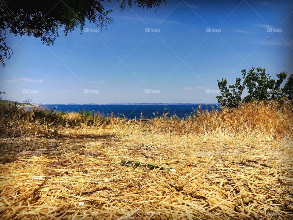 This season there’s no allowance to come to the sea closer 🏖