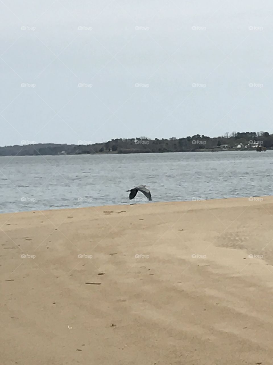 In flight 