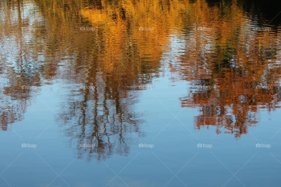 Autumn trees change color reflection on lake