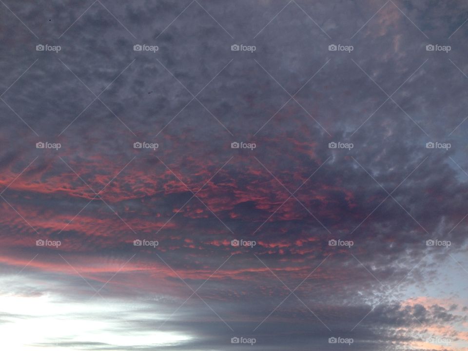 Candy Color Sunset. look up