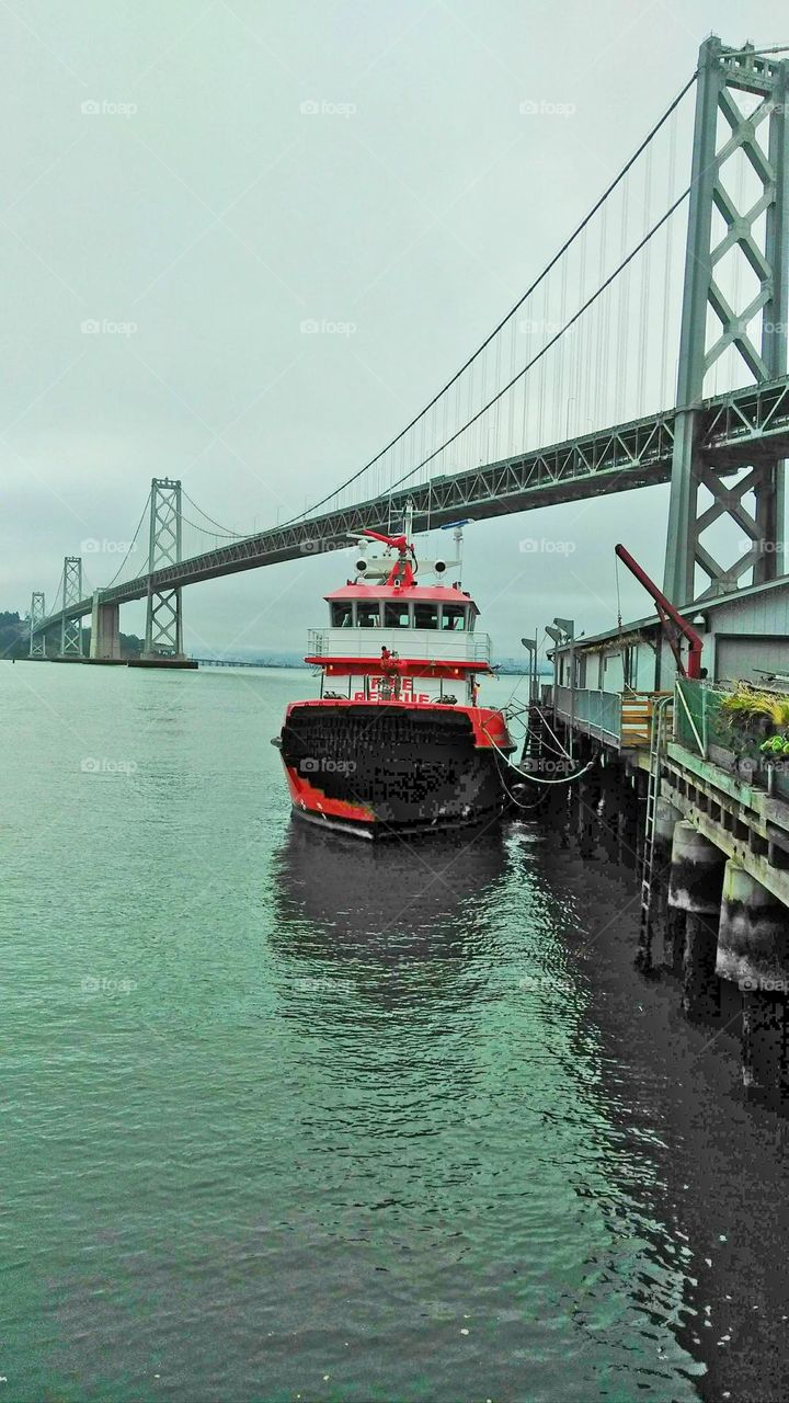 at the docks in San Francisco Bay