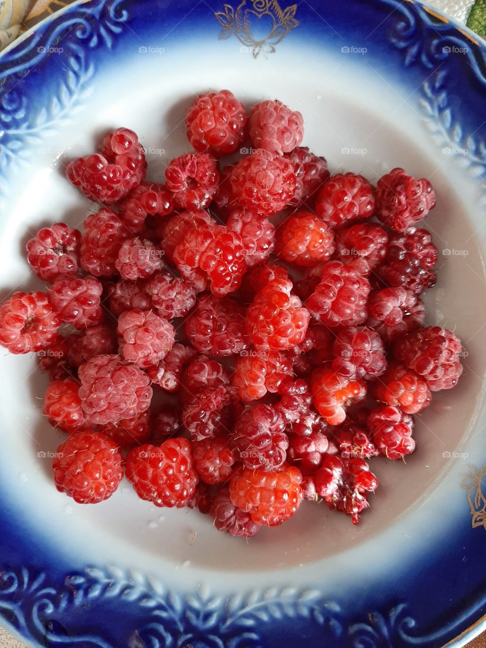 Raspberry berry on a plate with a blue border