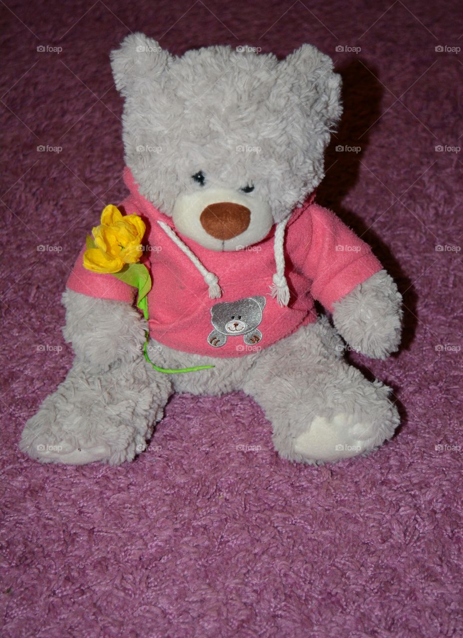 Child, Toy, Baby, Teddy, Cute