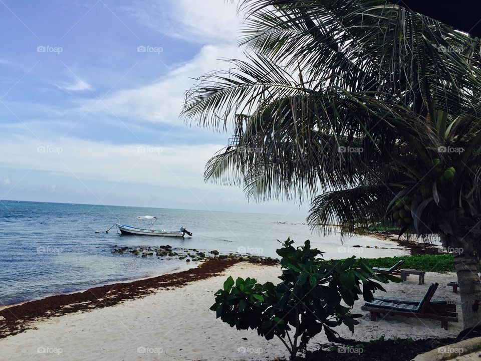 Lonely beach