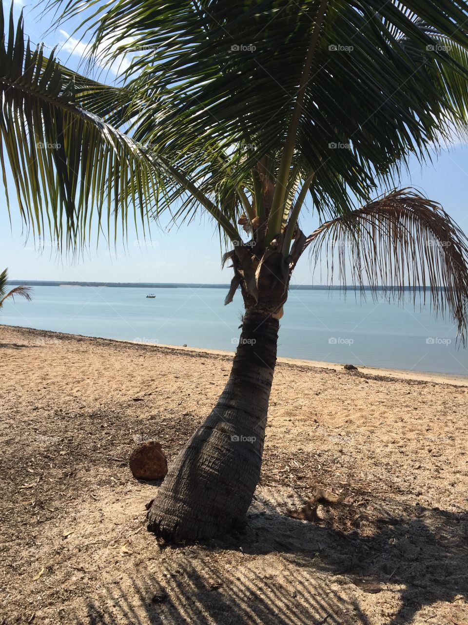 Some beach... somewhere
