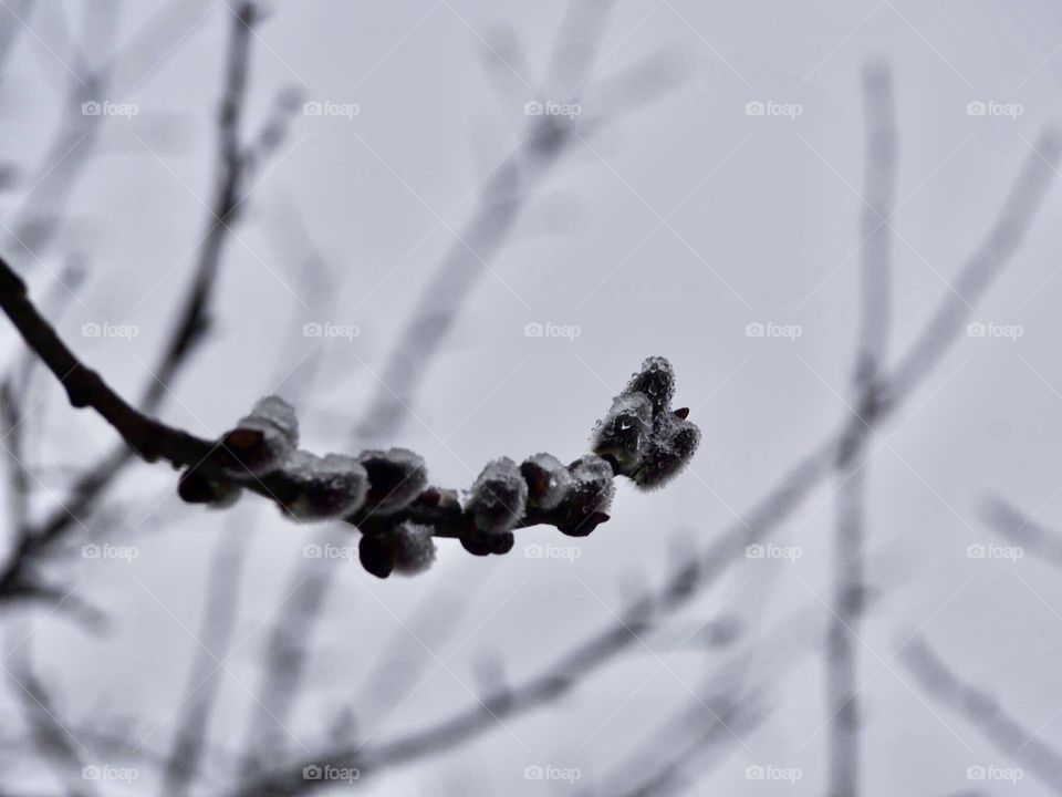 The last day of winter