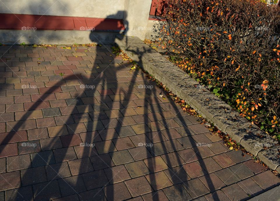 light and shadows on a street pavement on a sunset person with bike, riding bike