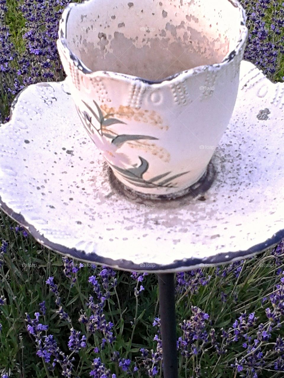 Tea cup feeder. A spot of tea for the birds.