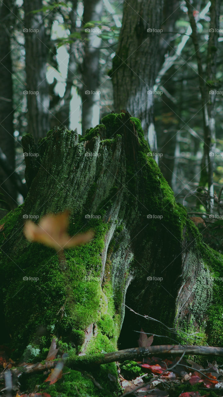 Naturel beauty place