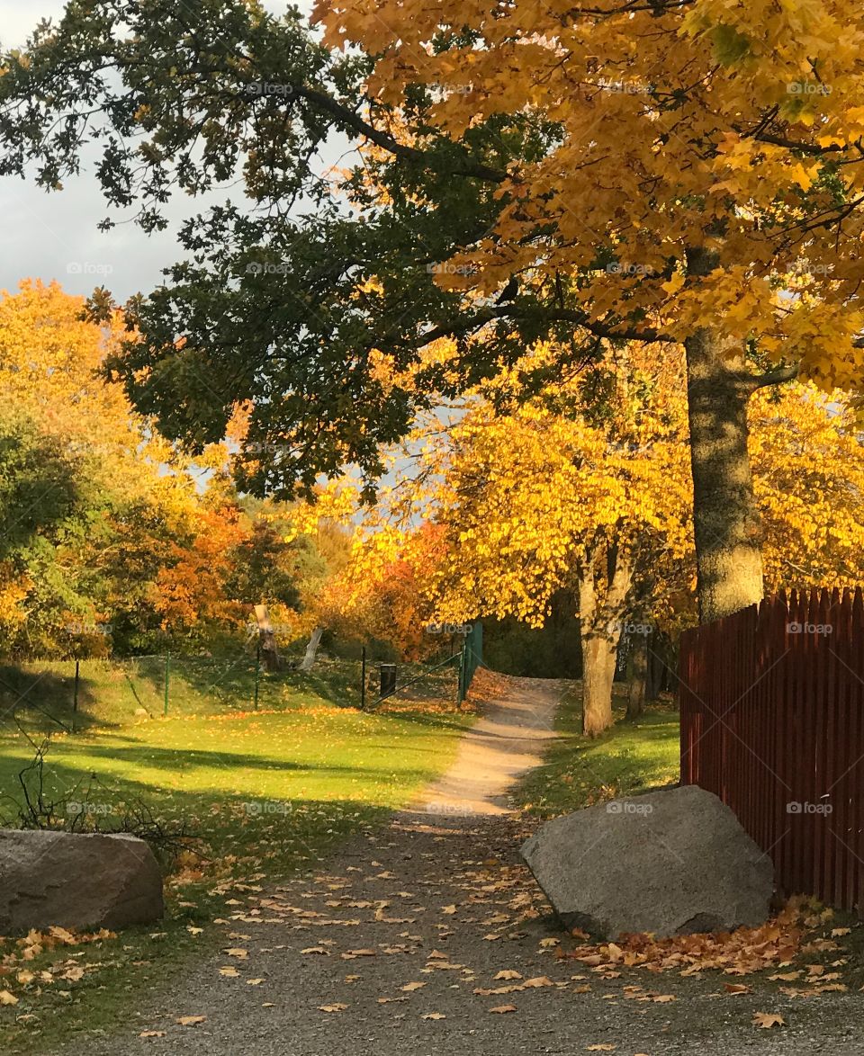 Autumn colors