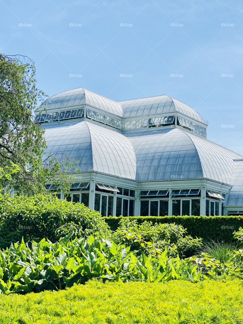 Beautiful serene glasshouse at NYBG 