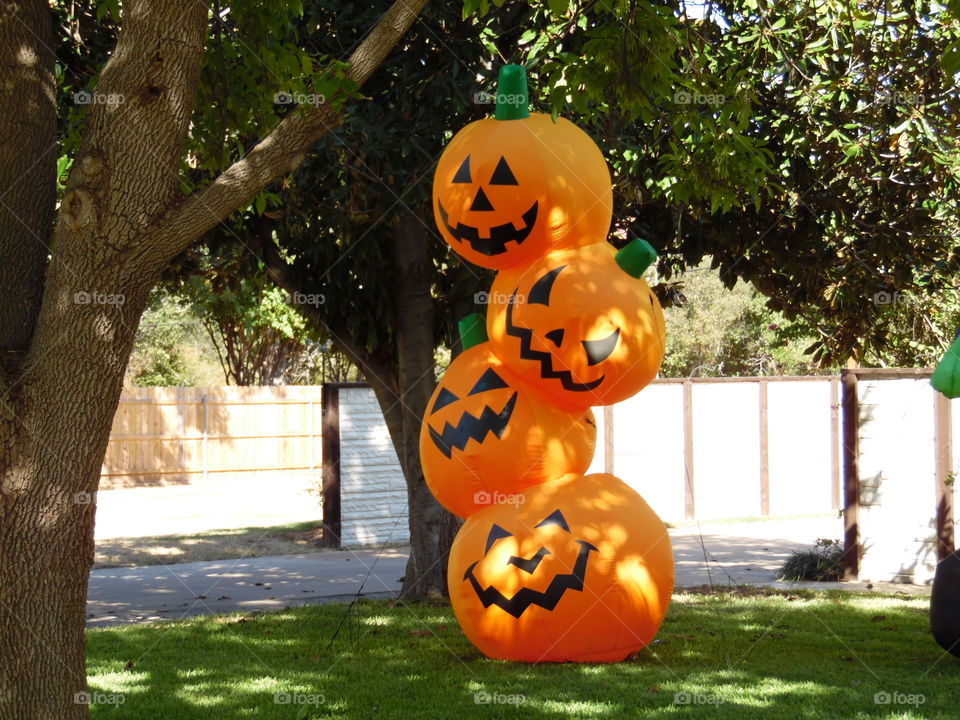 pumpkin 🎃. This is a picture of some Halloween decoration. 👣 🚶 🏃 🔥 💨