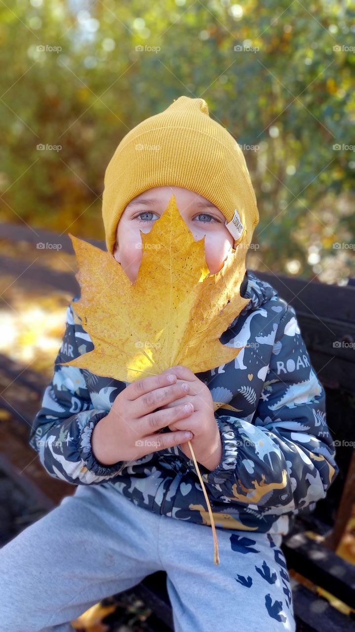 little boy with a leave near his face