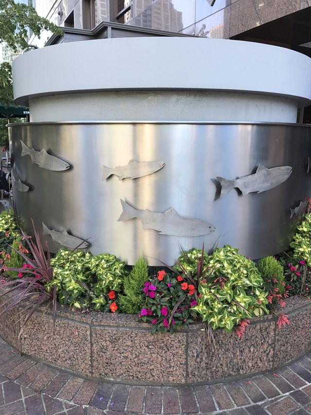 Bellevue/Seattle/Renton