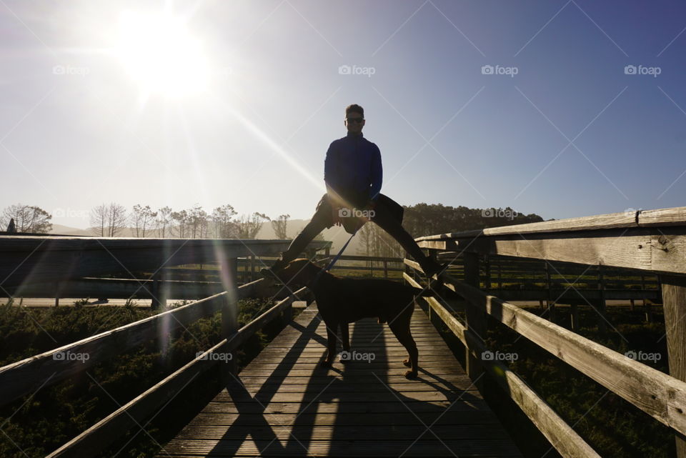 Walk#sun#human#dog#sky#trees