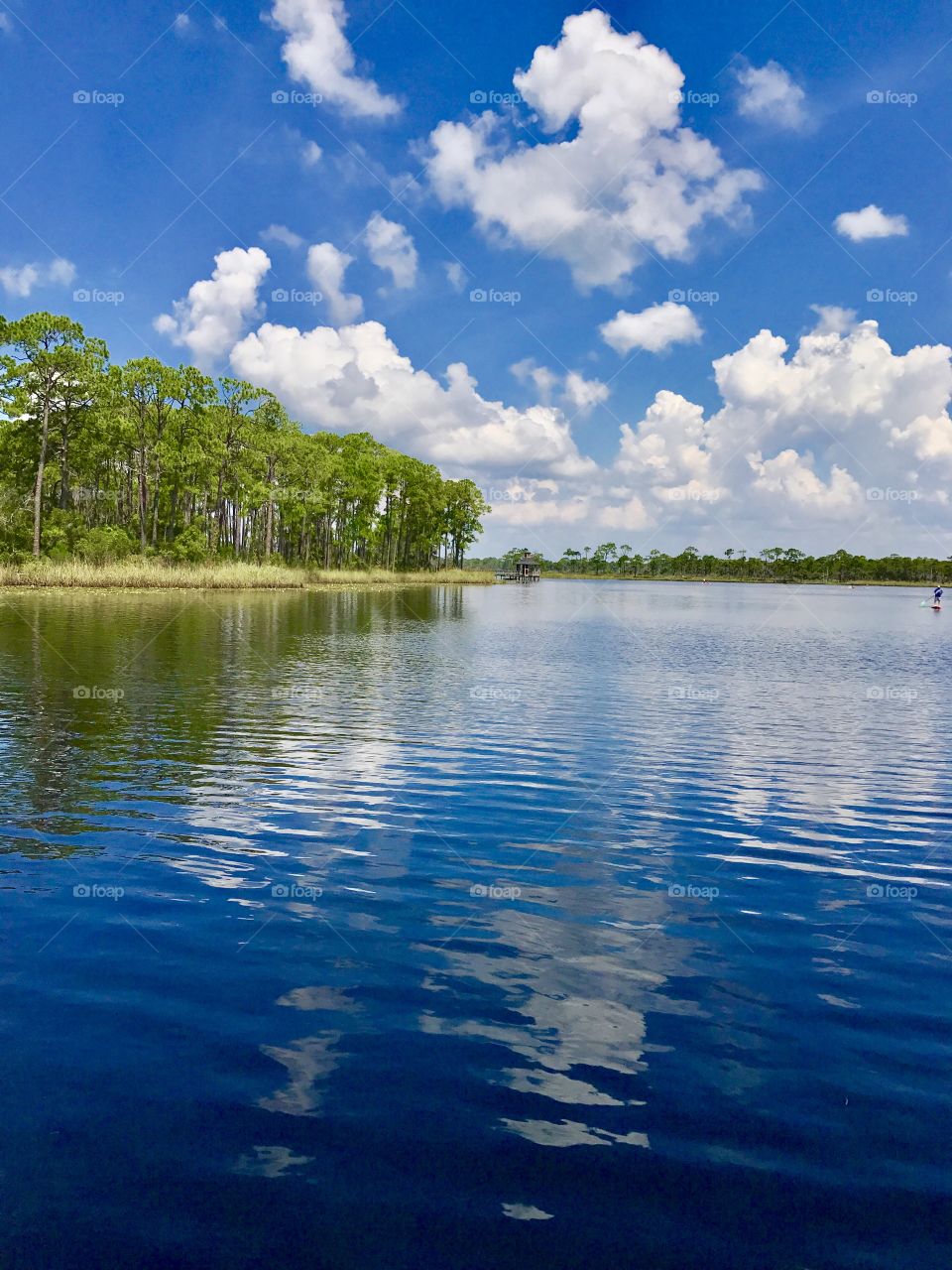 Refreshing view of the lake