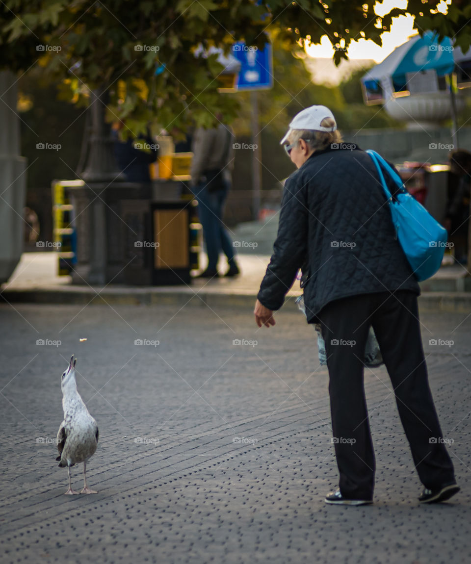 A woman feeds a seagull in a square in the center of Sevastopol