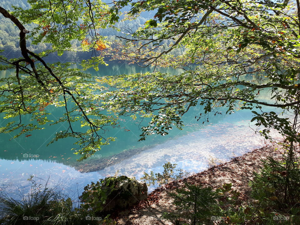 Hinterer Langbathsee
