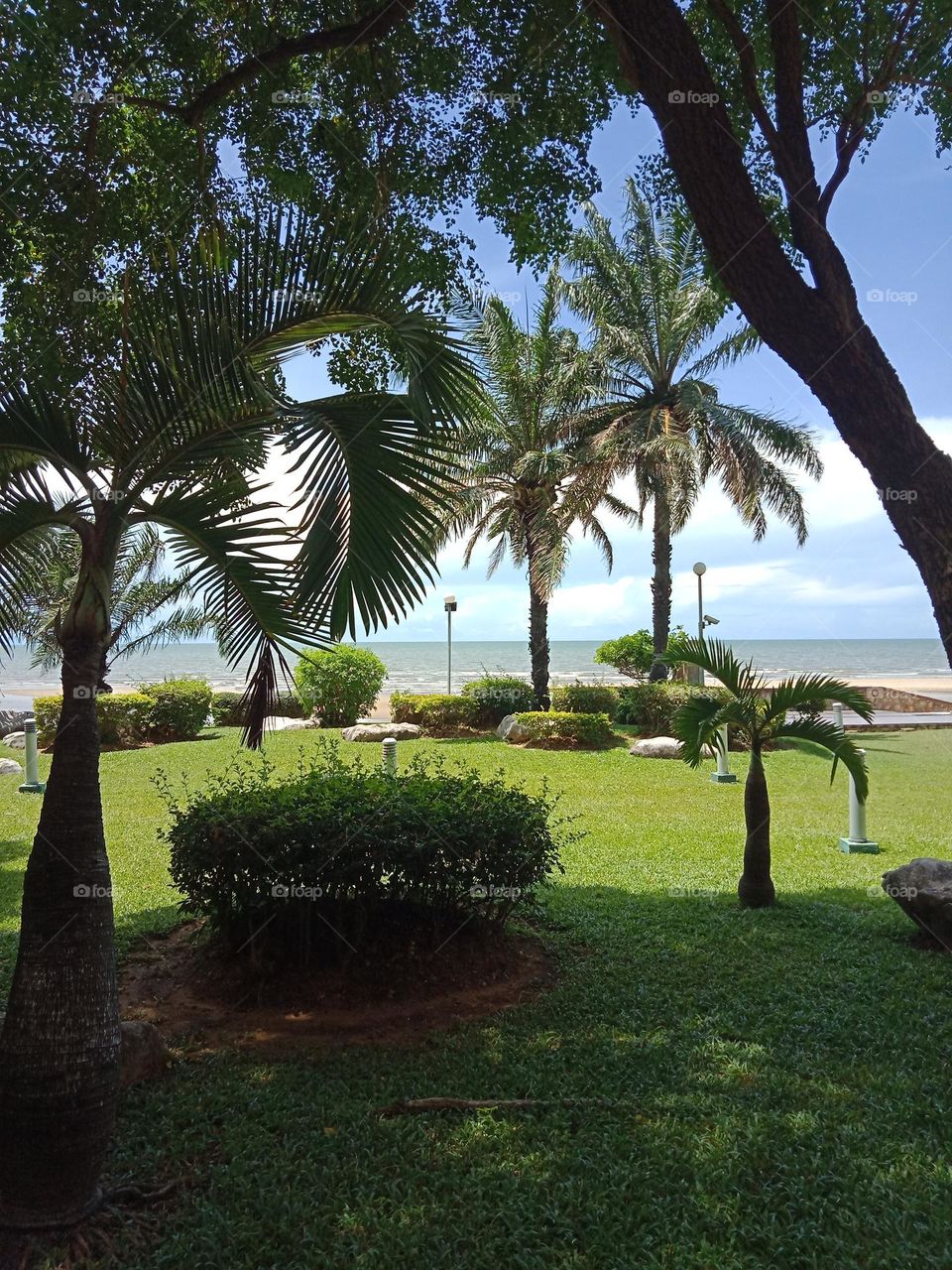 Garden by the beach