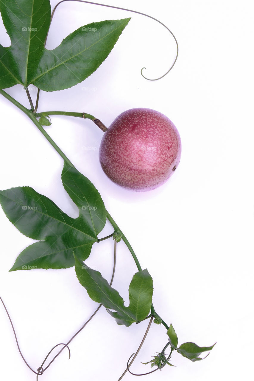 Amazing photography of pink colour passion fruit. fruit with pink colour. photography of pink colour passion fruit . pink colour passion fruit with white colour background