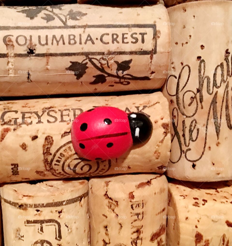 One ladybug on a cork board 