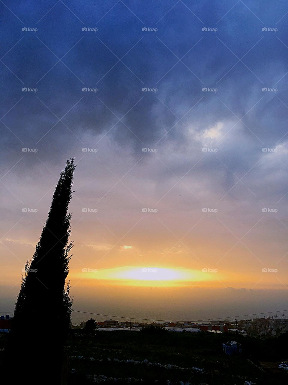 Beauty in nature❤️