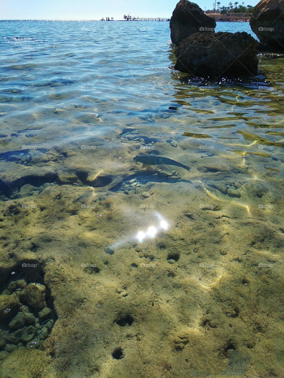 battle mountains vs.