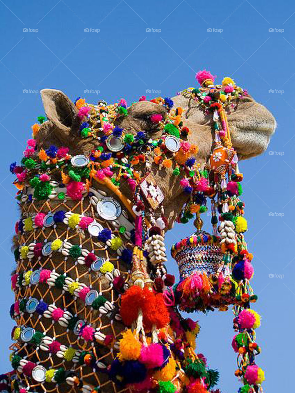 Camel Decoration