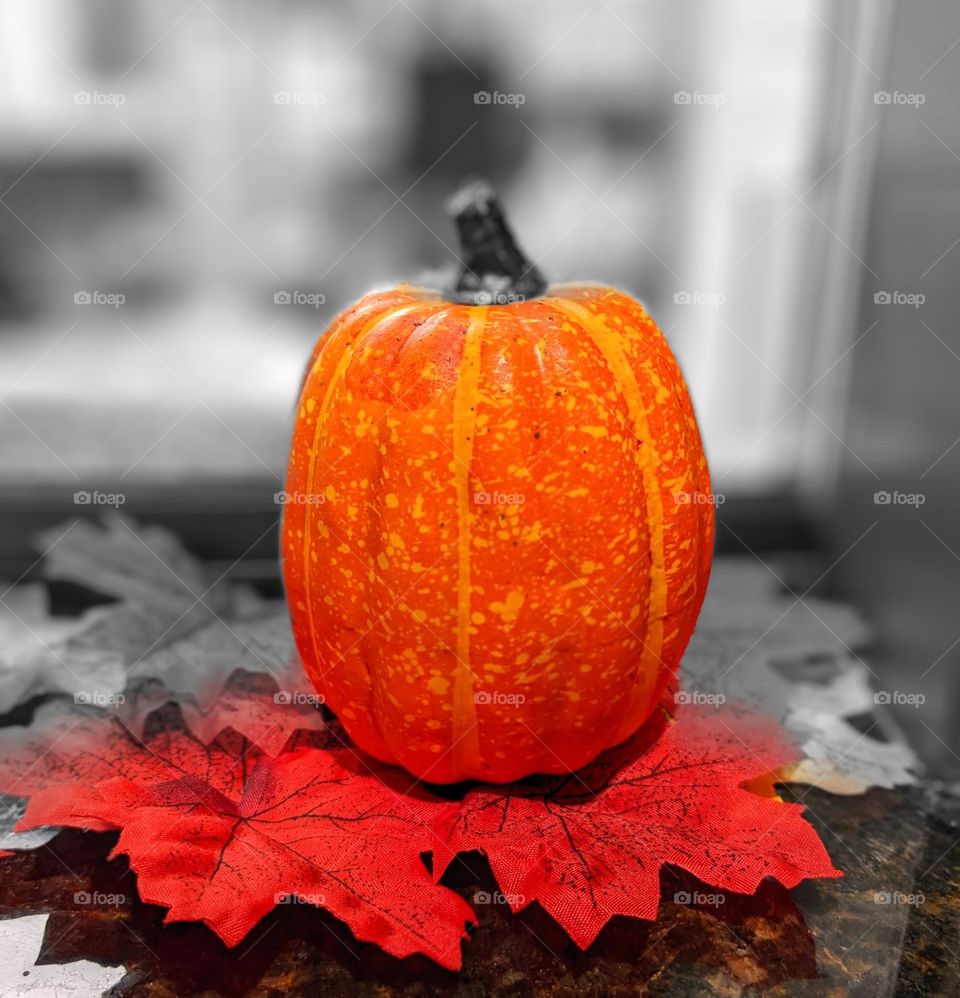 Pumpkin