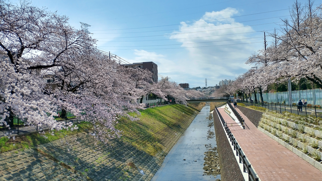 Spring view 