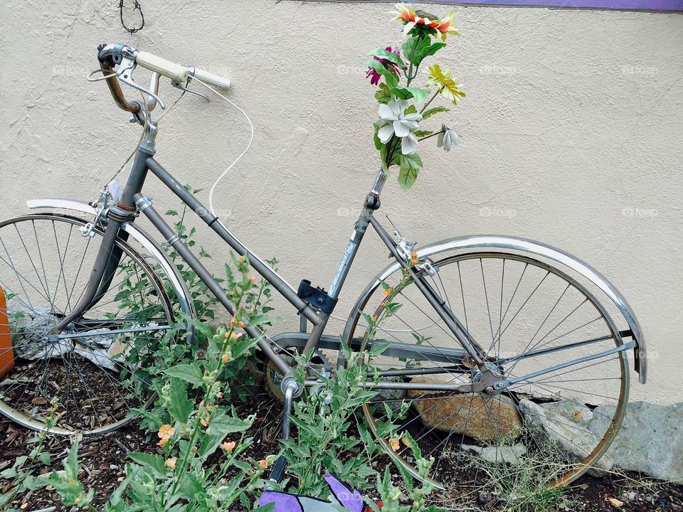 Garden bike 