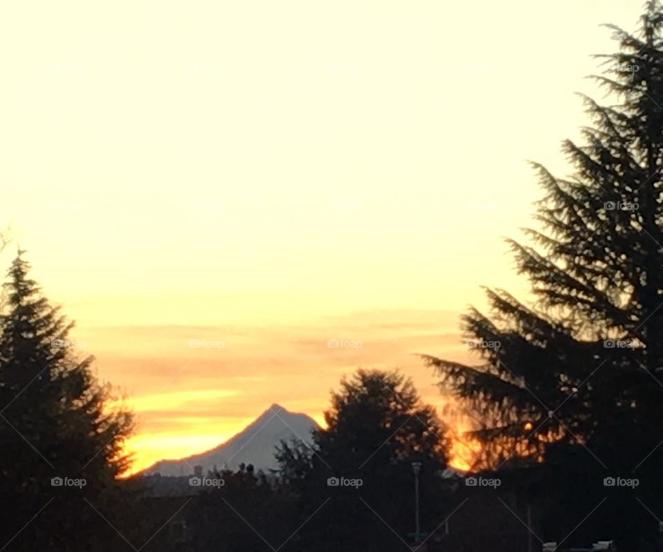 Mt. Hood morning 