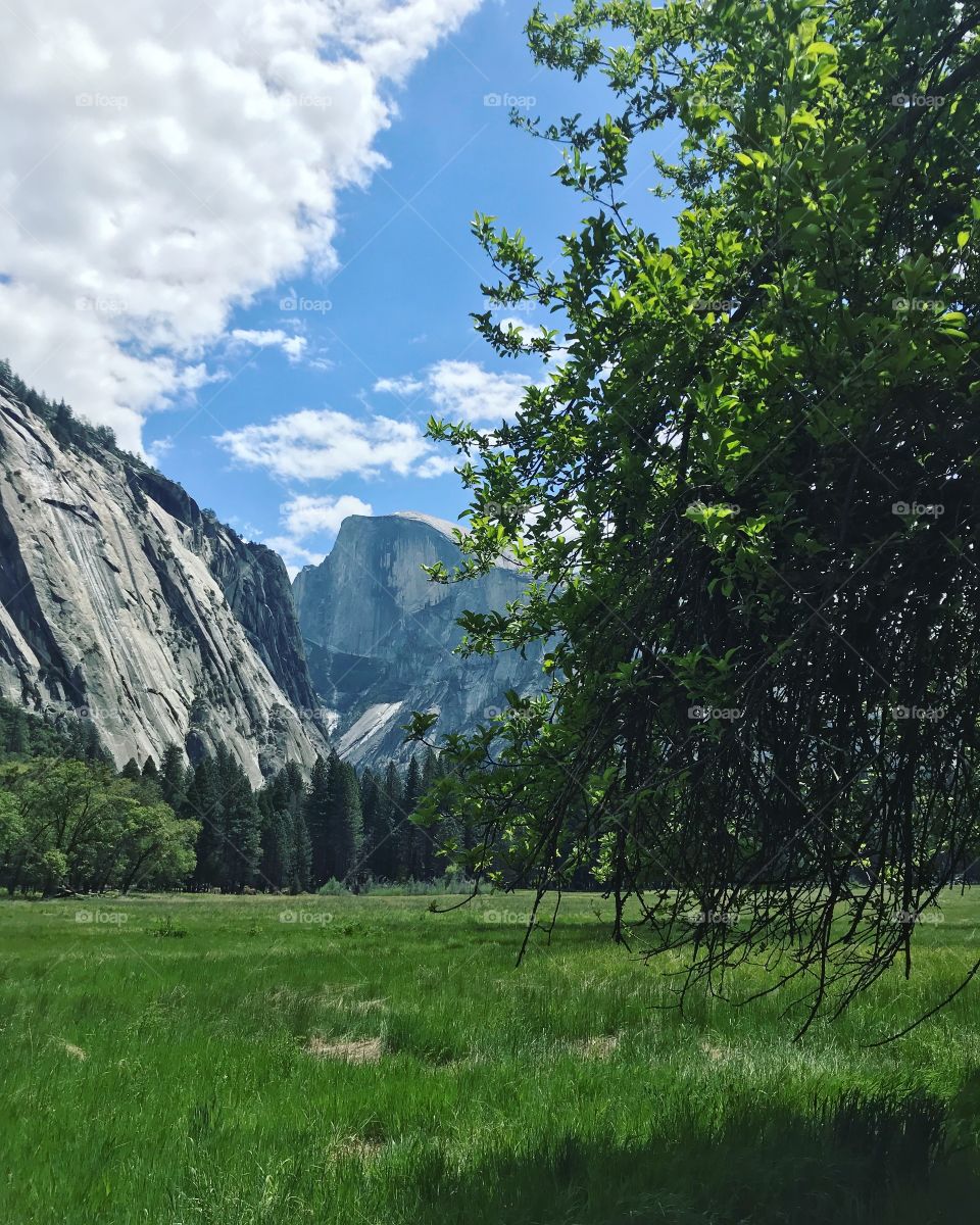 View of half dome at Yosemite National Park 