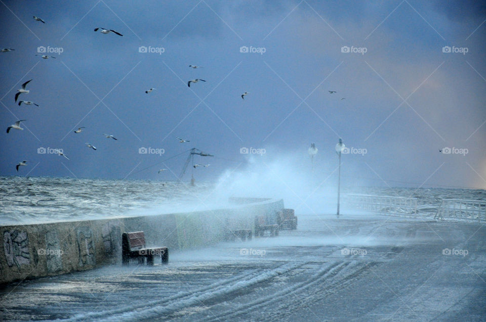 Winter, Storm, Weather, Snow, Water