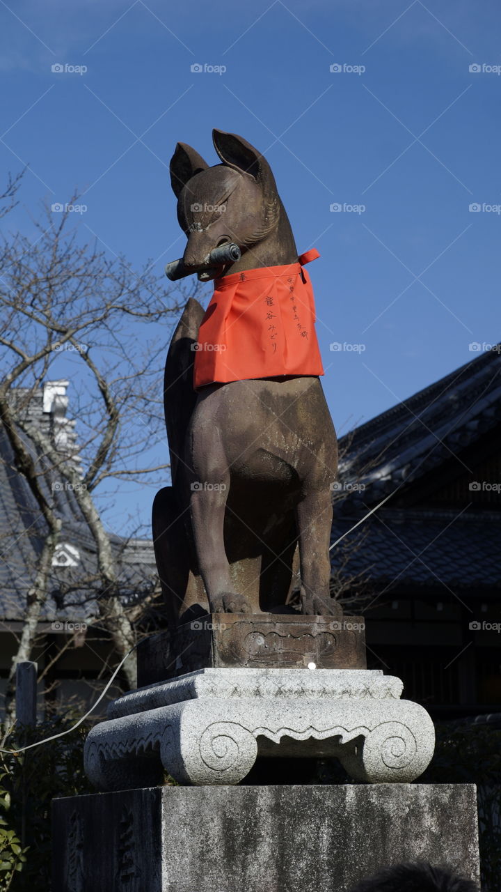 Guardian statue of the fox border the entrance gates to the Fushimi-inari shrine in Kyoto, Japan.