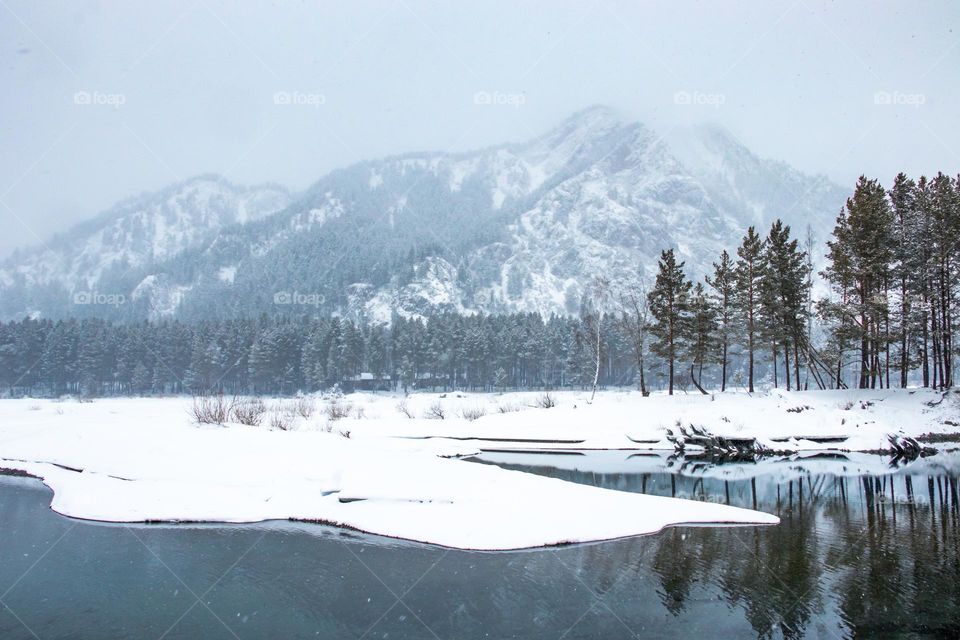 Snowy winter landscape 