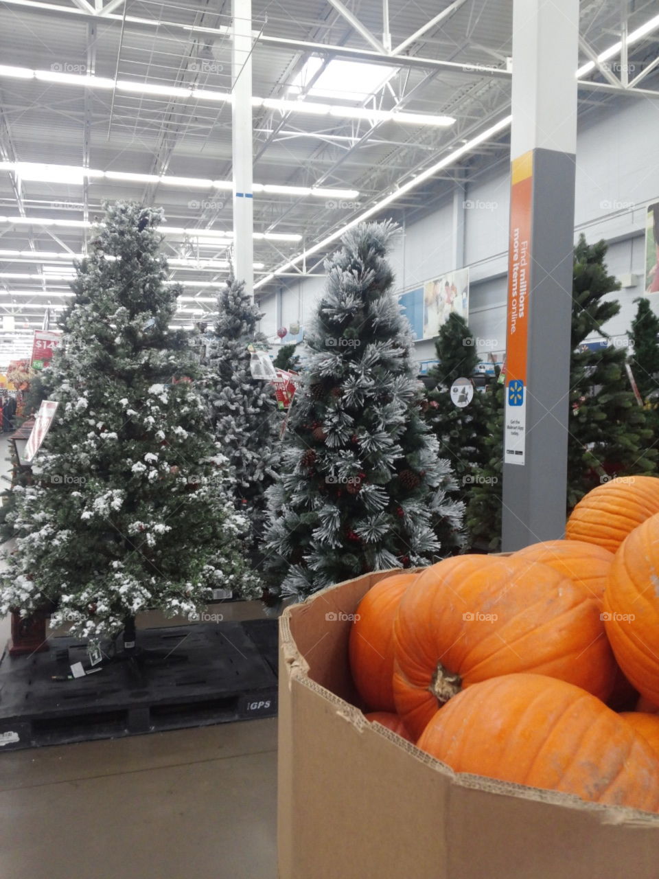 It's almost Halloween...I mean Christmas.