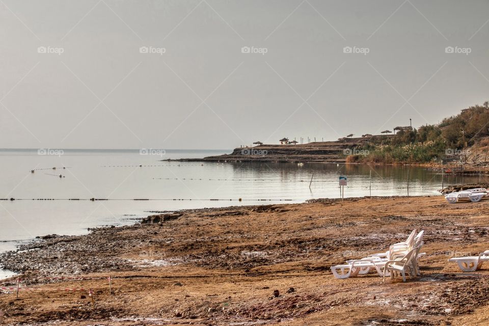 The Dead Sea 