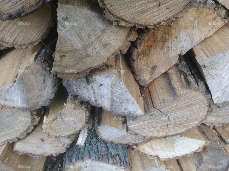 Log Pile. A pile of logs