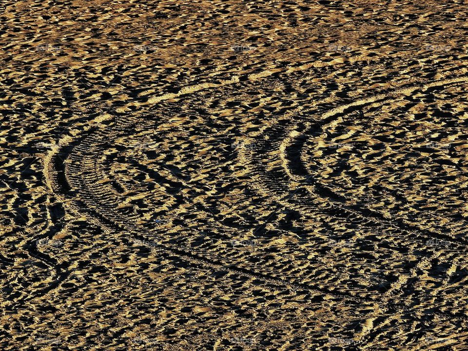 Tracks in sand