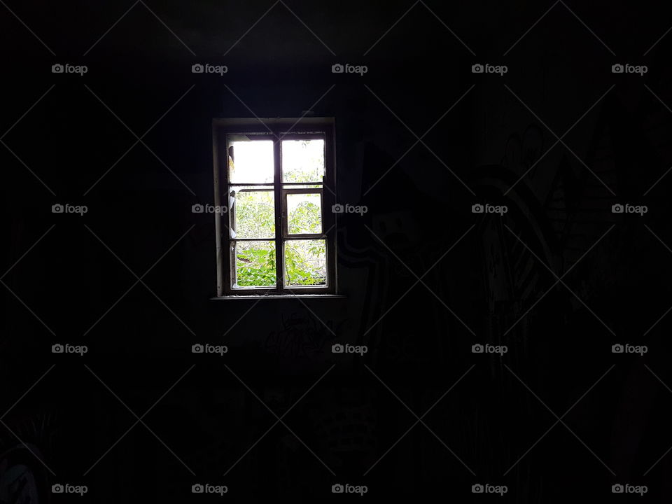 Window