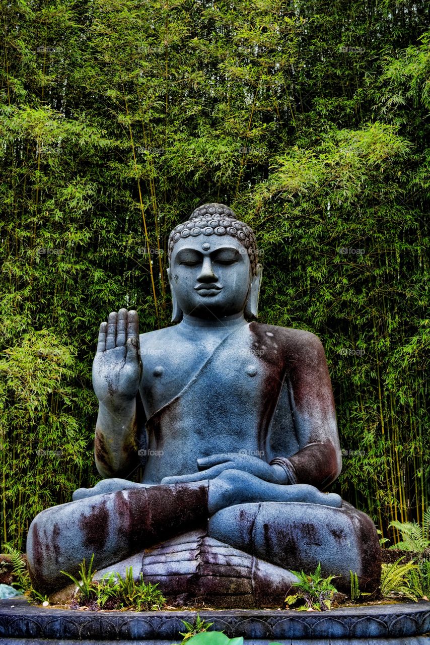 Buddha 