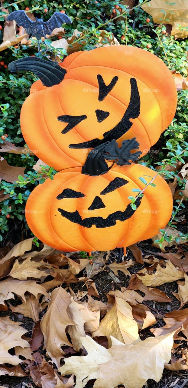 two grinning Jack O'Lantern Halloween outdoor decorations surrounded by brown fallen leaves in an Oregon neighborhood