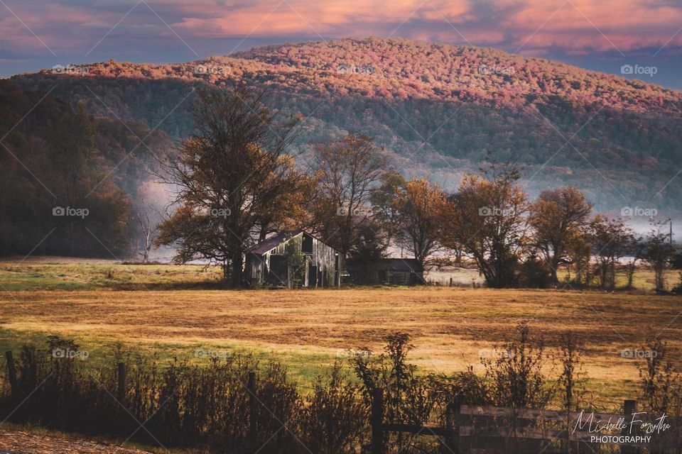 Fall: Ozark Mountains