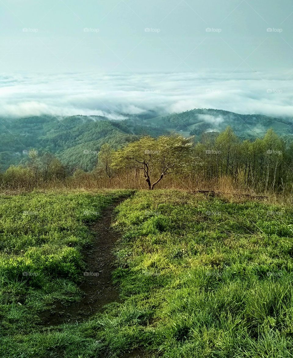 Paths lead to many destinations, make sure to choose the right ones. The view from the mountains overlooking the fog.