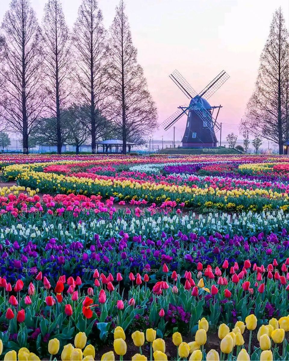 Glory be to God, the magnificent and picturesque view and the natural green trees are a view that is nothing more wonderful than it