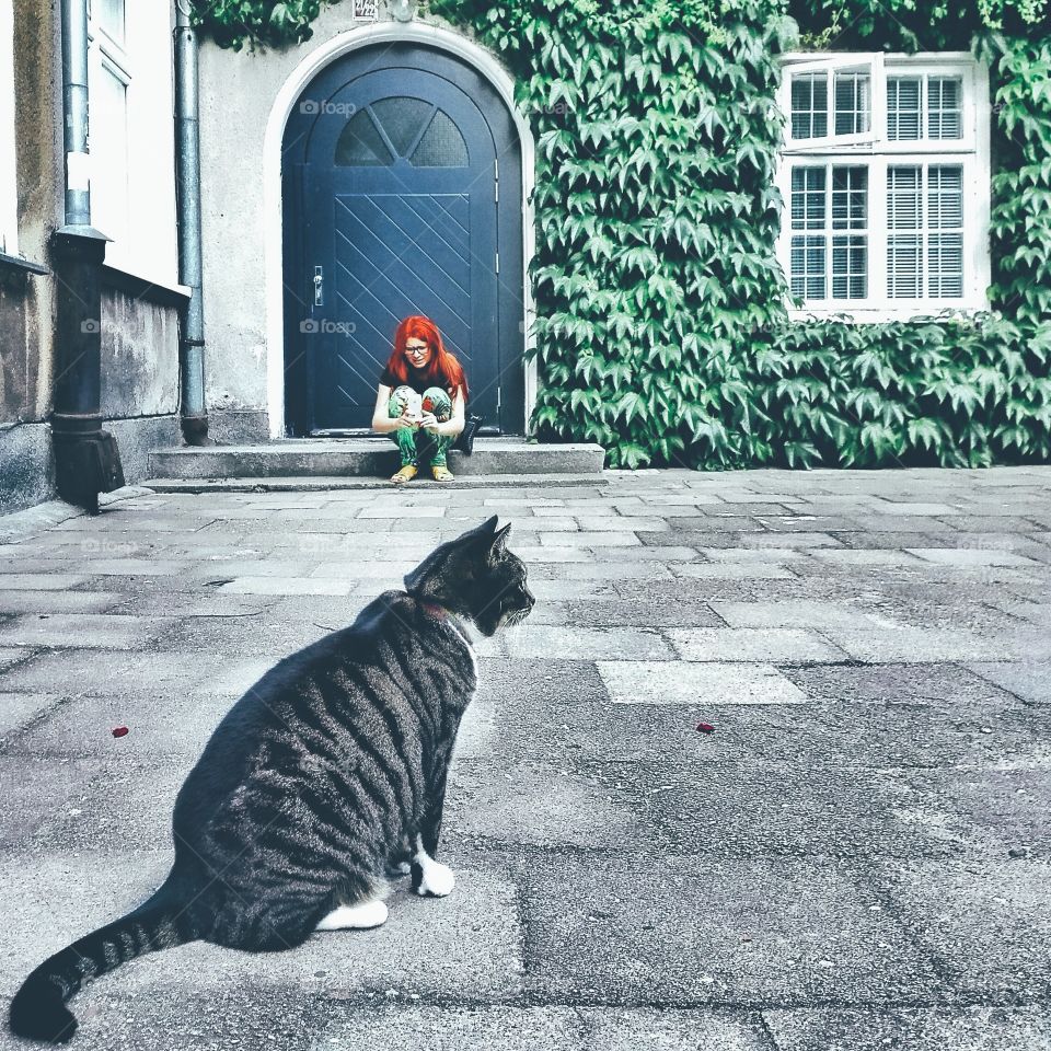 Woman taking photograph her cat