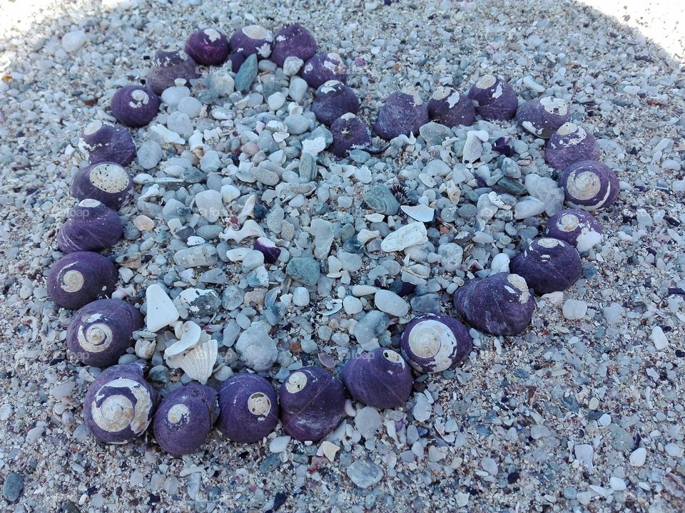 Seashell Heart in Sand