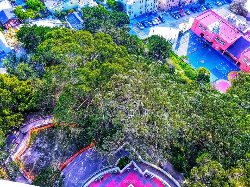 SAN FRANCESCO|california