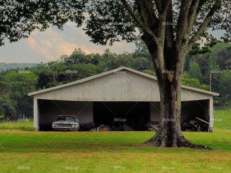 big tree in front of a big garage with an antique car